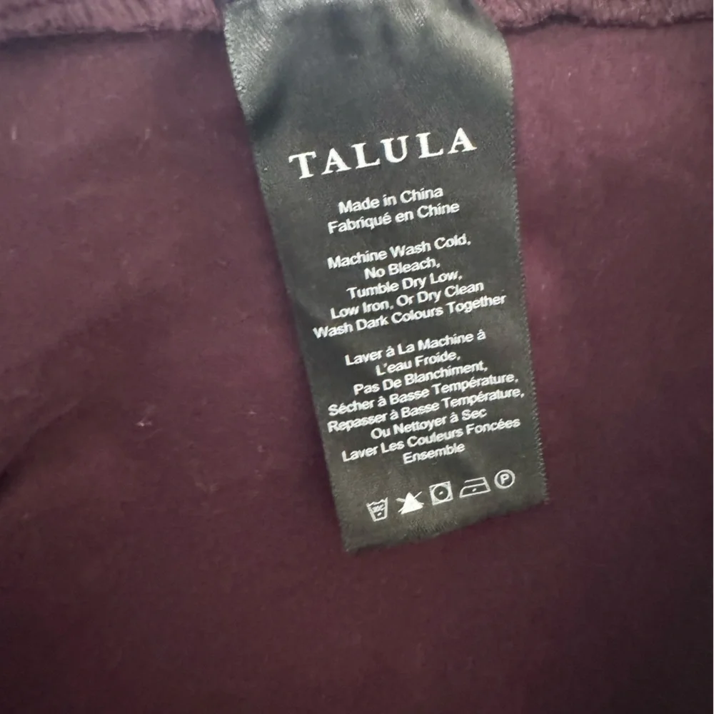 Aritzia Talula dress skater pleated skirt maroon burgundy fall long sleeve m s - Picture 5 of 6